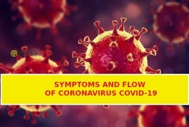 Symptoms and flow of coronavirus