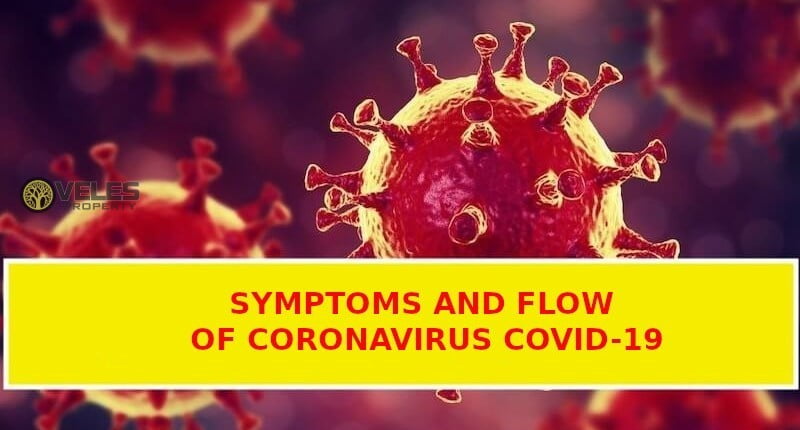 Symptoms and flow of coronavirus Covid-19.
