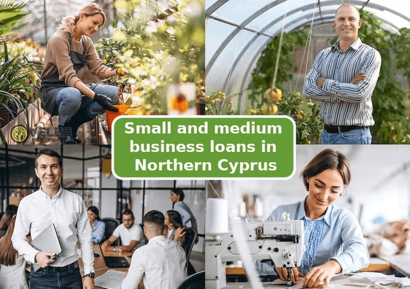 Small and medium business loans in Northern Cyprus