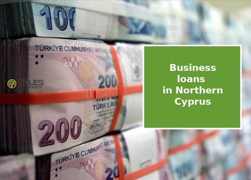 Business loans in Northern Cyprus during the crisis