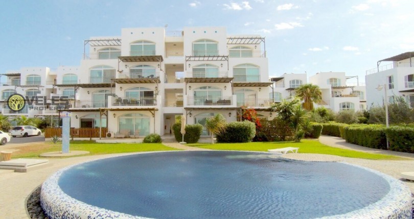 SA-2177 APARTMENT IN APHRODITE FROM THE OWNER