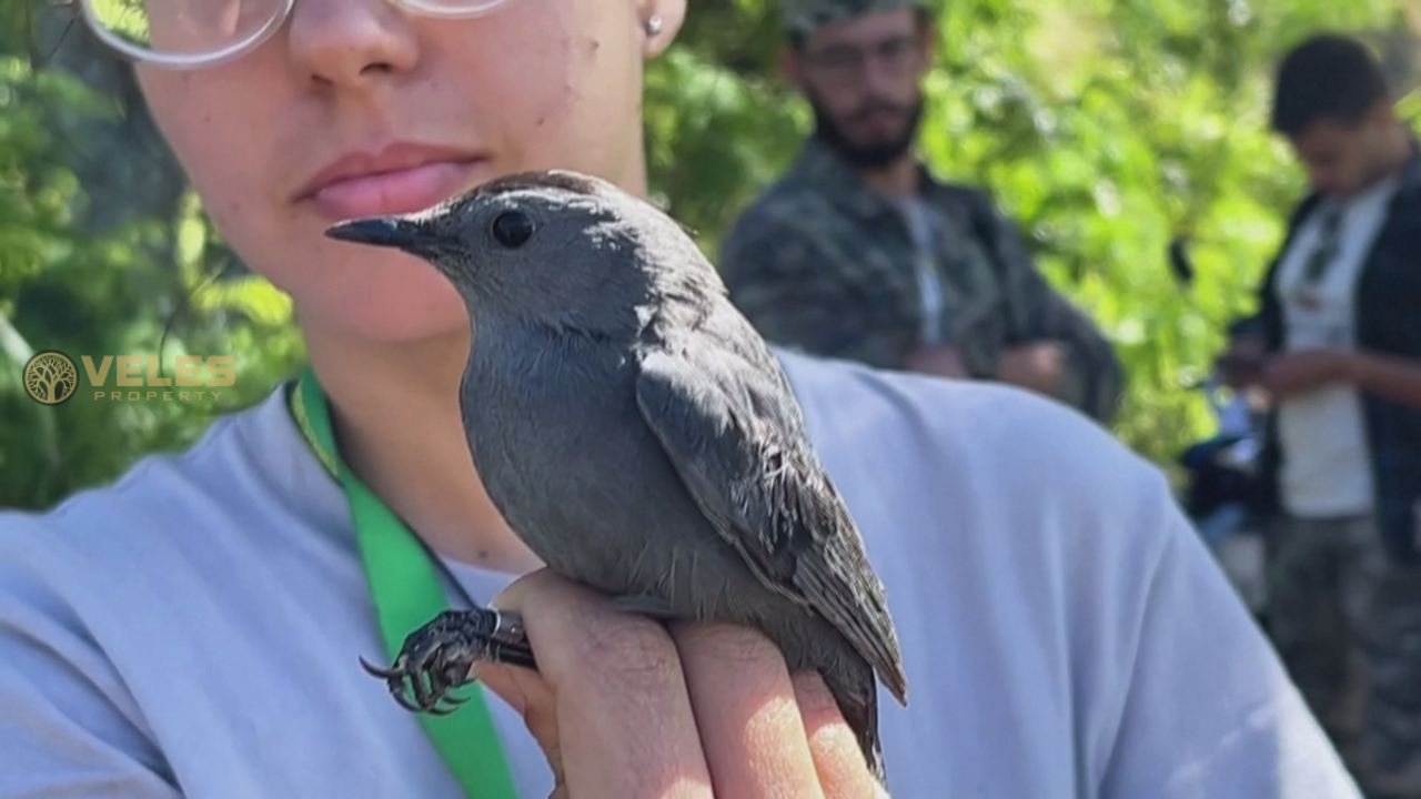 CUBAN BIOLOGISTS INVESTIGATE BIRD MIGRATION