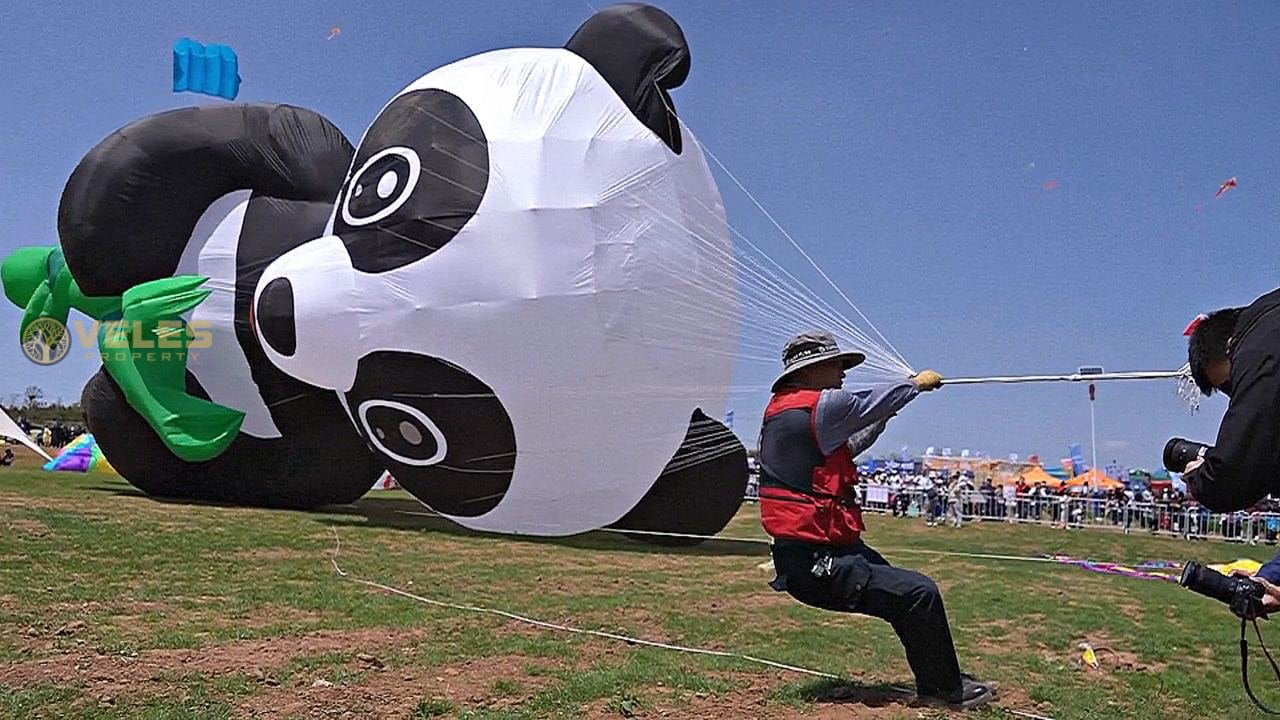 KITES: PANDAS, DRAGONS, SQUIDS