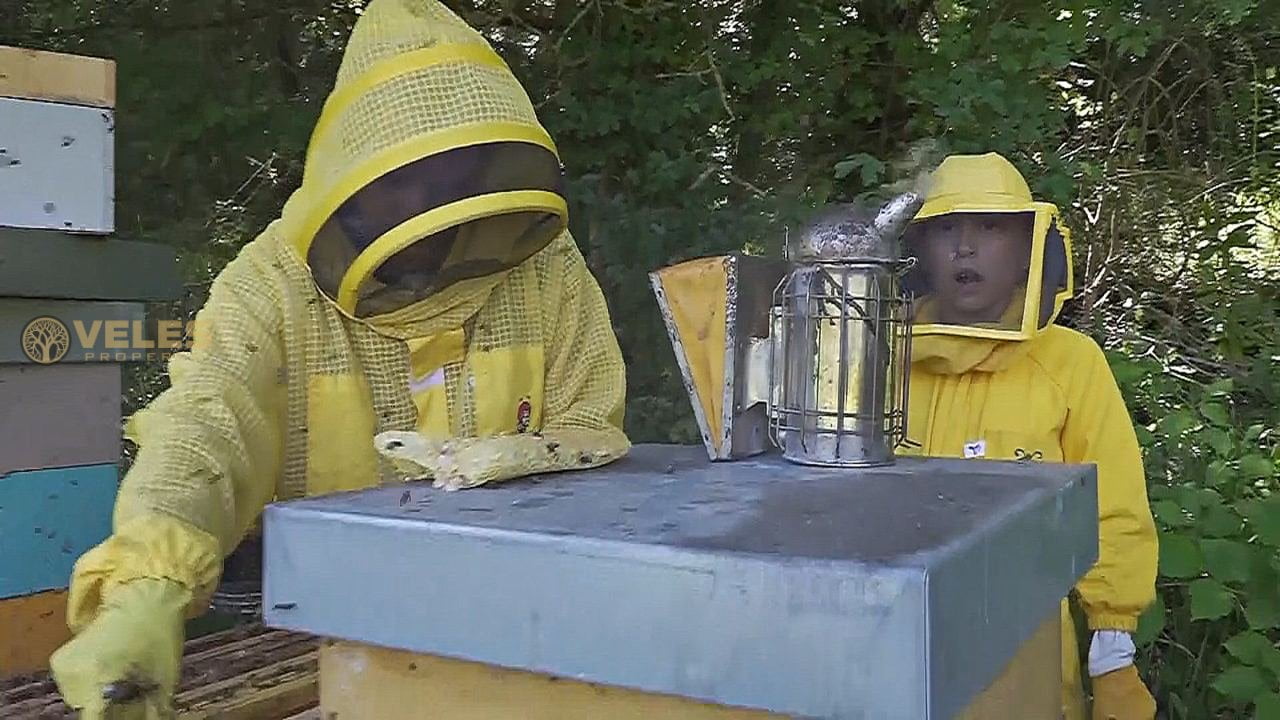 INTERNATIONAL BEE DAY