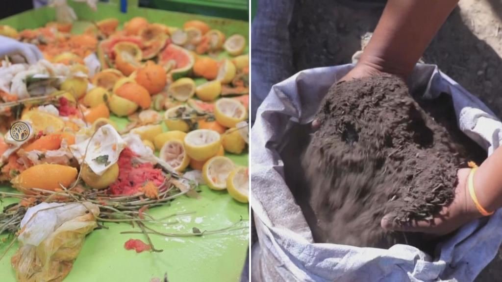 HOW FOOD WASTE HELPS DUBAI FARMERS