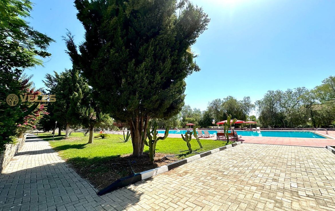 Buy property in North Cyprus