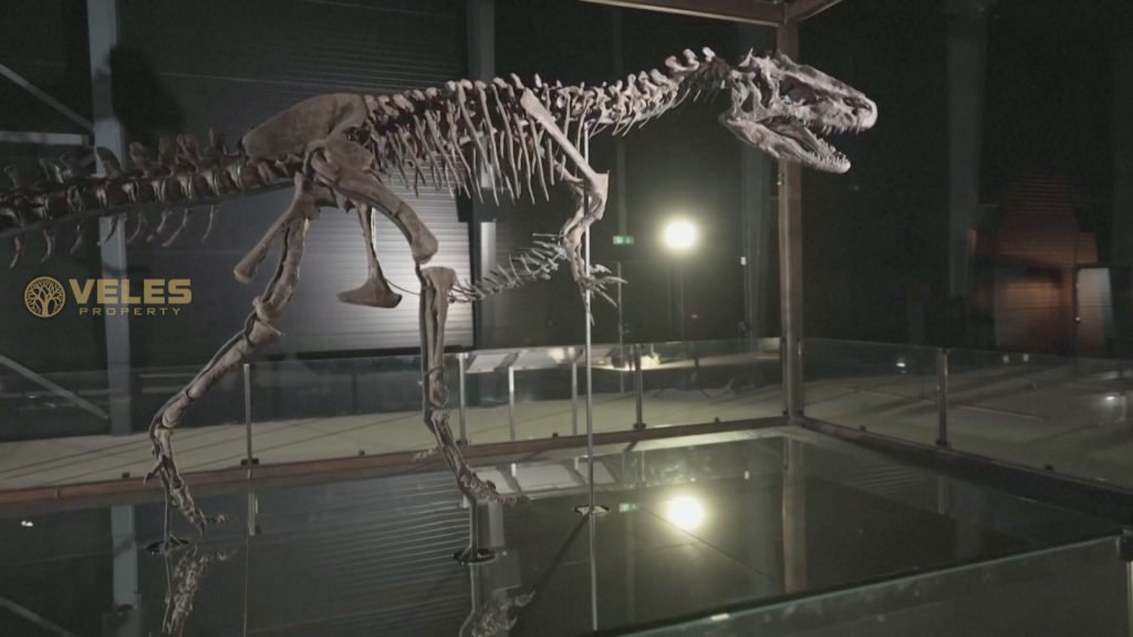 AMAZINGLY COMPLETE DINOSAUR SKELETON SHOWN IN DENMARK