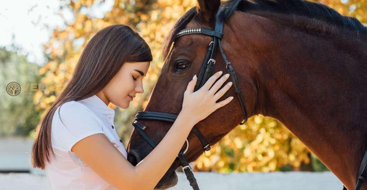 HORSES HELP TREAT PATIENTS IN A HOSPITAL IN ROME