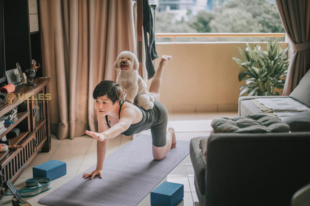 CUTE PUPPIES GIVE PEACE OF MIND IN YOGA CLASSES