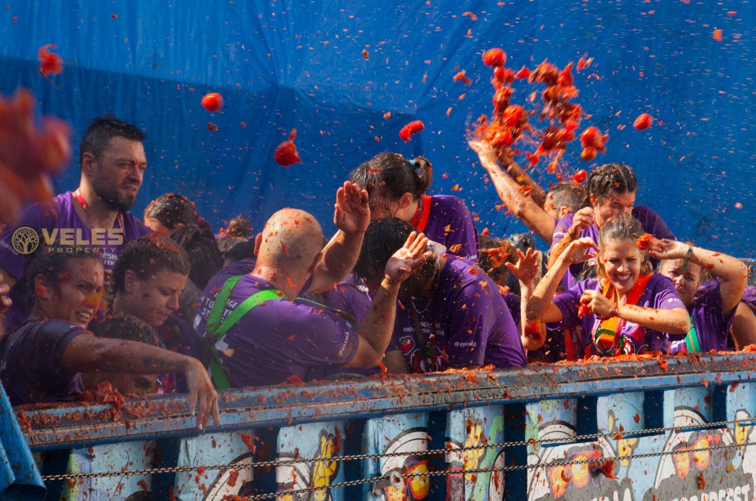 TOMATO BATTLE RAGES IN SPANISH BUÑOL