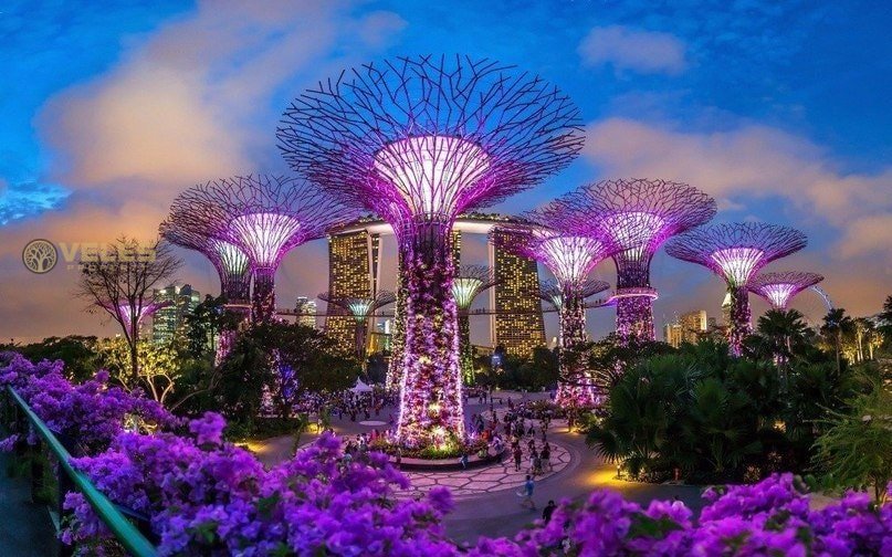 FAIRYTALE WORLDS MADE OF LIGHTS IN SINGAPORE