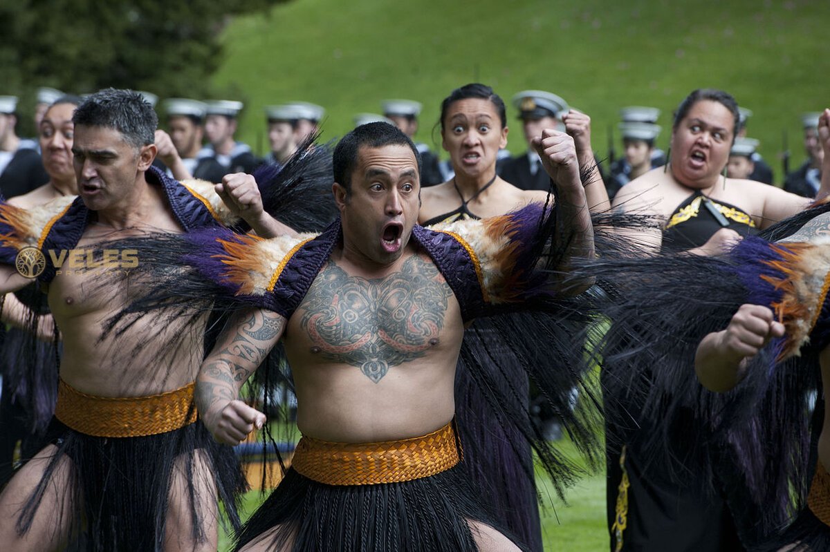 Guinness World Record: Mass haka dance in New Zealand